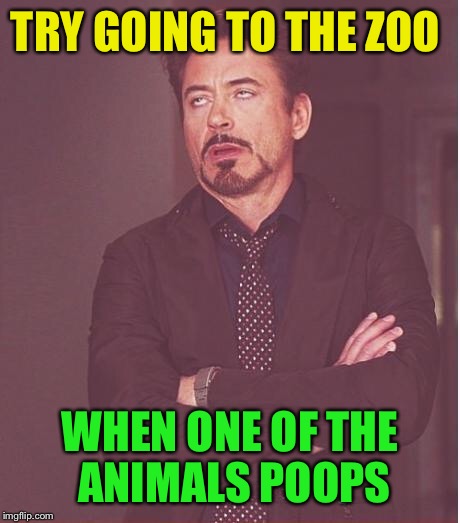 Face You Make Robert Downey Jr Meme | TRY GOING TO THE ZOO WHEN ONE OF THE ANIMALS POOPS | image tagged in memes,face you make robert downey jr | made w/ Imgflip meme maker