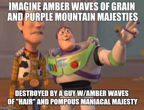 From sea to rising sea | IMAGINE AMBER WAVES OF GRAIN AND PURPLE MOUNTAIN MAJESTIES; DESTROYED BY A GUY W/AMBER WAVES OF "HAIR" AND POMPOUS MANIACAL MAJESTY | image tagged in memes,x x everywhere | made w/ Imgflip meme maker