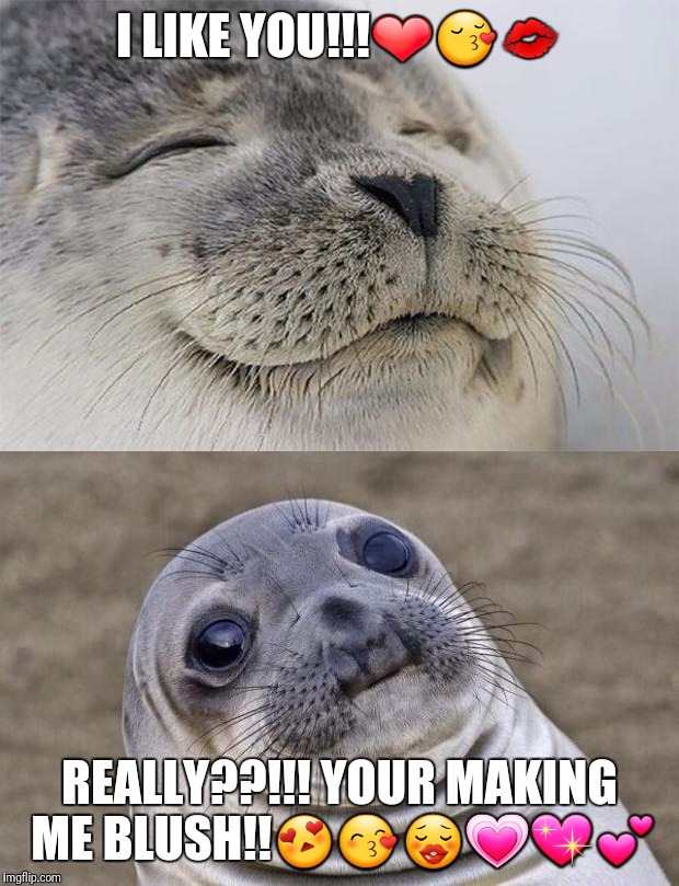 Blushing and happy seals. | I LIKE YOU!!!❤😚💋; REALLY??!!! YOUR MAKING ME BLUSH!!😍😙😗💗💖💕 | image tagged in memes | made w/ Imgflip meme maker