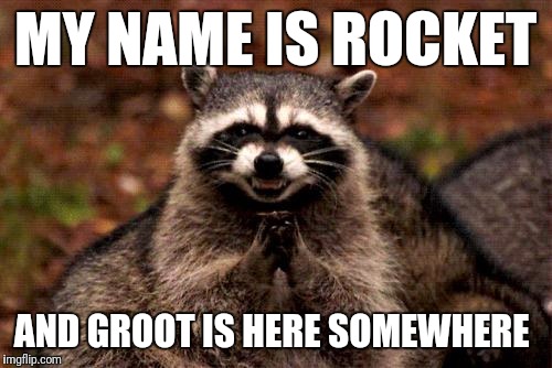 Rocket the Raccoon. | MY NAME IS ROCKET; AND GROOT IS HERE SOMEWHERE | image tagged in memes,evil plotting raccoon | made w/ Imgflip meme maker