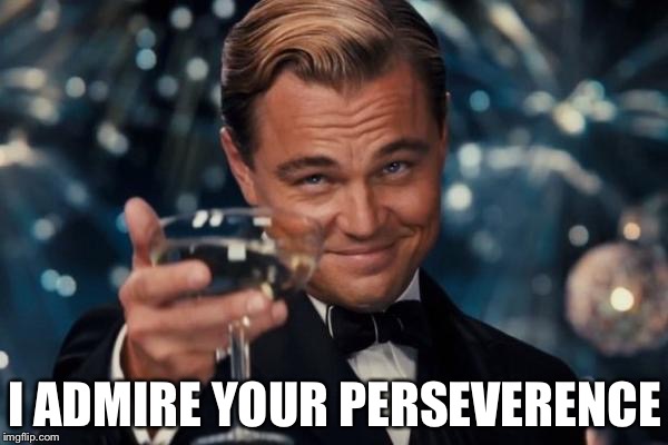 Leonardo Dicaprio Cheers Meme | I ADMIRE YOUR PERSEVERENCE | image tagged in memes,leonardo dicaprio cheers | made w/ Imgflip meme maker