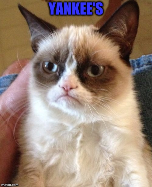 Grumpy Cat Meme | YANKEE'S | image tagged in memes,grumpy cat | made w/ Imgflip meme maker