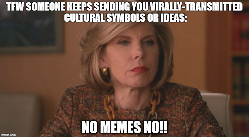 TFW SOMEONE KEEPS SENDING YOU VIRALLY-TRANSMITTED CULTURAL SYMBOLS OR IDEAS:; NO MEMES NO!! | image tagged in memes | made w/ Imgflip meme maker