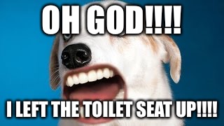 OH GOD!!!! | OH GOD!!!! I LEFT THE TOILET SEAT UP!!!! | image tagged in oh god | made w/ Imgflip meme maker