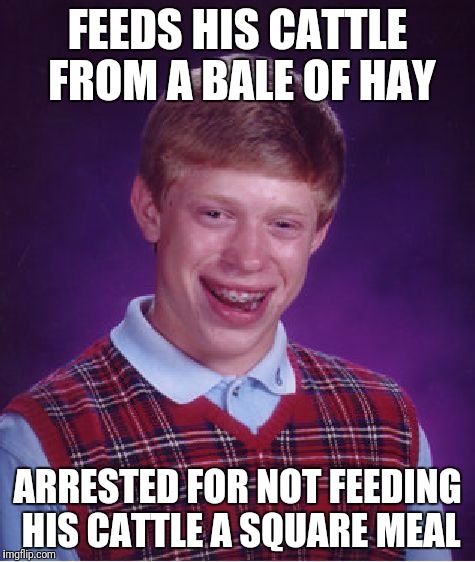 Bad Luck Brian | FEEDS HIS CATTLE FROM A BALE OF HAY; ARRESTED FOR NOT FEEDING HIS CATTLE A SQUARE MEAL | image tagged in memes,bad luck brian | made w/ Imgflip meme maker