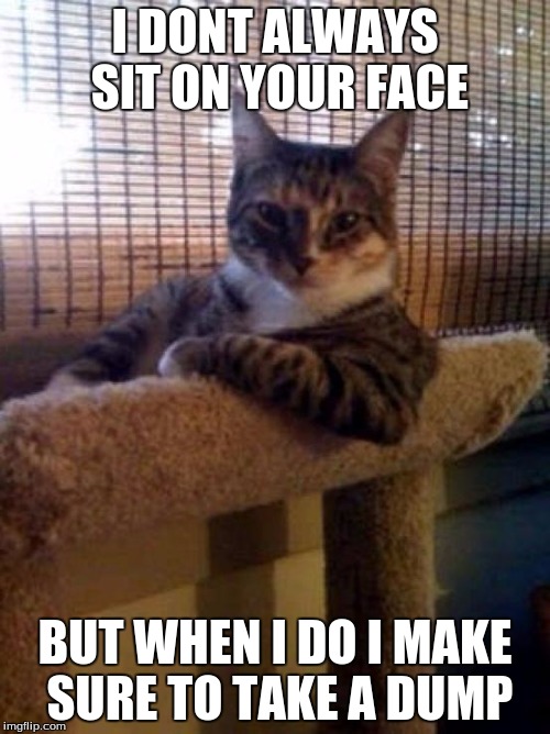 The Most Interesting Cat In The World | I DONT ALWAYS SIT ON YOUR FACE; BUT WHEN I DO I MAKE SURE TO TAKE A DUMP | image tagged in memes,the most interesting cat in the world | made w/ Imgflip meme maker