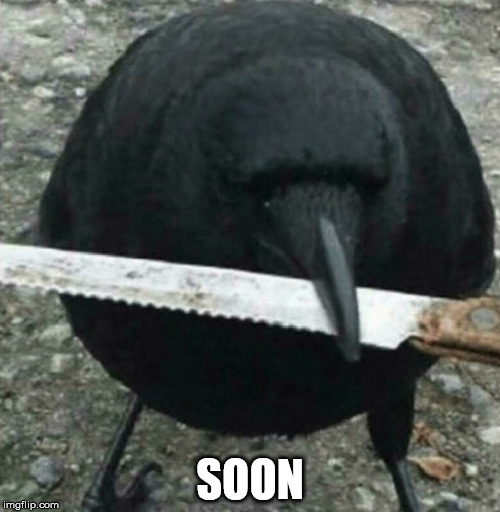 Something To Crow About | SOON | image tagged in soon,one flew over the cuckoos nest,close shaves | made w/ Imgflip meme maker