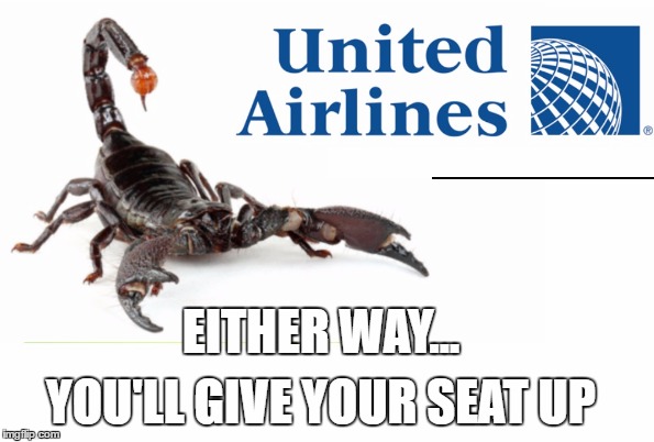United we Fall | image tagged in scorpion,united airlines,funny memes | made w/ Imgflip meme maker