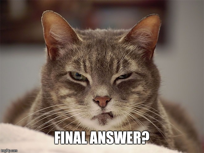 Sarcasm Cat | FINAL ANSWER? | image tagged in sarcasm cat | made w/ Imgflip meme maker