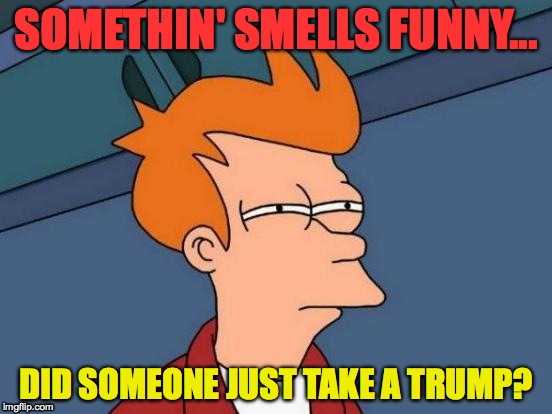 Futurama Fry |  SOMETHIN' SMELLS FUNNY... DID SOMEONE JUST TAKE A TRUMP? | image tagged in memes,futurama fry | made w/ Imgflip meme maker