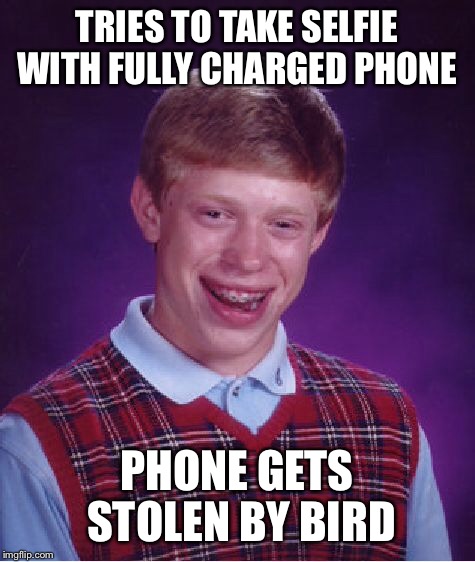 TRIES TO TAKE SELFIE WITH FULLY CHARGED PHONE PHONE GETS STOLEN BY BIRD | image tagged in memes,bad luck brian | made w/ Imgflip meme maker