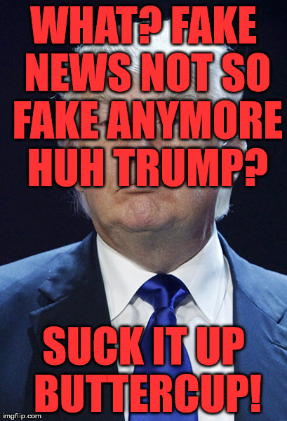 Donald Trump | WHAT? FAKE NEWS NOT SO FAKE ANYMORE HUH TRUMP? SUCK IT UP BUTTERCUP! | image tagged in donald trump | made w/ Imgflip meme maker