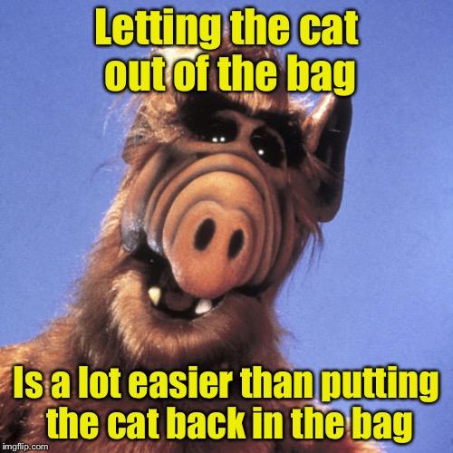 Alf  | Letting the cat out of the bag; Is a lot easier than putting the cat back in the bag | image tagged in alf | made w/ Imgflip meme maker