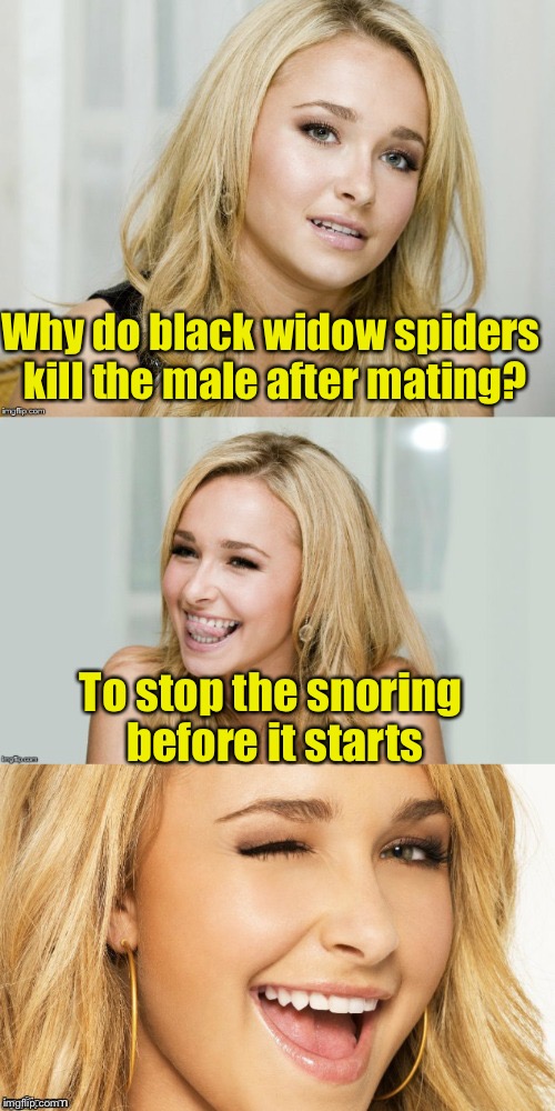 Bad Pun Hayden Panettiere | Why do black widow spiders kill the male after mating? To stop the snoring before it starts | image tagged in bad pun hayden panettiere | made w/ Imgflip meme maker