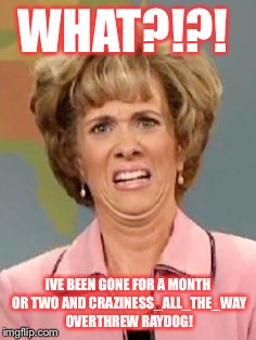 What?!!! | WHAT?!?! IVE BEEN GONE FOR A MONTH OR TWO AND CRAZINESS_ALL_THE_WAY OVERTHREW RAYDOG! | image tagged in what | made w/ Imgflip meme maker