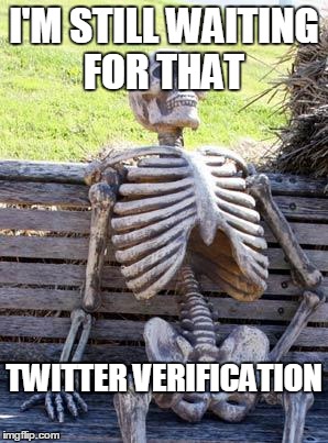 Waiting Skeleton Meme | I'M STILL WAITING FOR THAT; TWITTER VERIFICATION | image tagged in memes,waiting skeleton | made w/ Imgflip meme maker