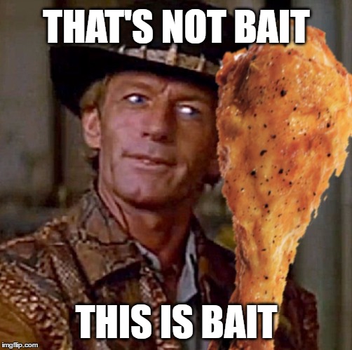 Crocodile Dundee Troll Bait |  THAT'S NOT BAIT; THIS IS BAIT | image tagged in memes,crocodile dundee,trolling,internet trolls,bait,chicken | made w/ Imgflip meme maker