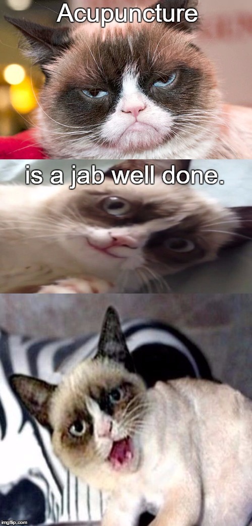 Bad Pun Grumpy Cat | Acupuncture; is a jab well done. | image tagged in bad pun grumpy cat | made w/ Imgflip meme maker
