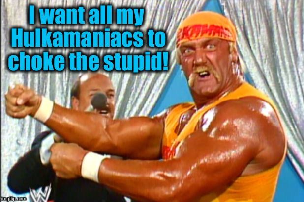 I want all my Hulkamaniacs to choke the stupid! | made w/ Imgflip meme maker