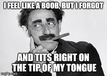 I FEEL LIKE A BOOB, BUT I FORGOT AND TITS RIGHT ON THE TIP OF MY TONGUE | made w/ Imgflip meme maker