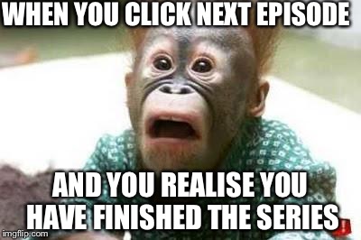 Ugly Monkey | WHEN YOU CLICK NEXT EPISODE; AND YOU REALISE YOU HAVE FINISHED THE SERIES | image tagged in ugly monkey | made w/ Imgflip meme maker