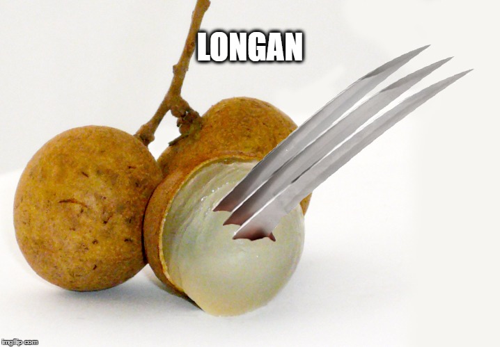 LONGAN | image tagged in logan,x-men,wolverine | made w/ Imgflip meme maker