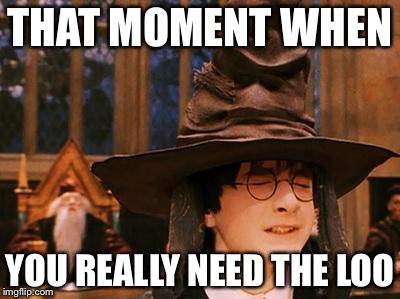 Harry Potter Hat | THAT MOMENT WHEN; YOU REALLY NEED THE LOO | image tagged in harry potter hat | made w/ Imgflip meme maker