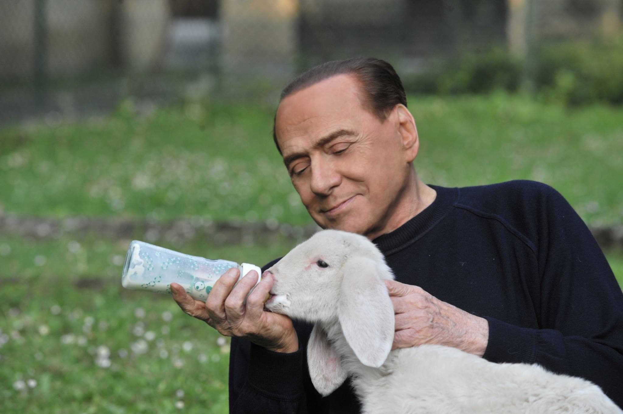 Berlusconi agnellino Blank Meme Template