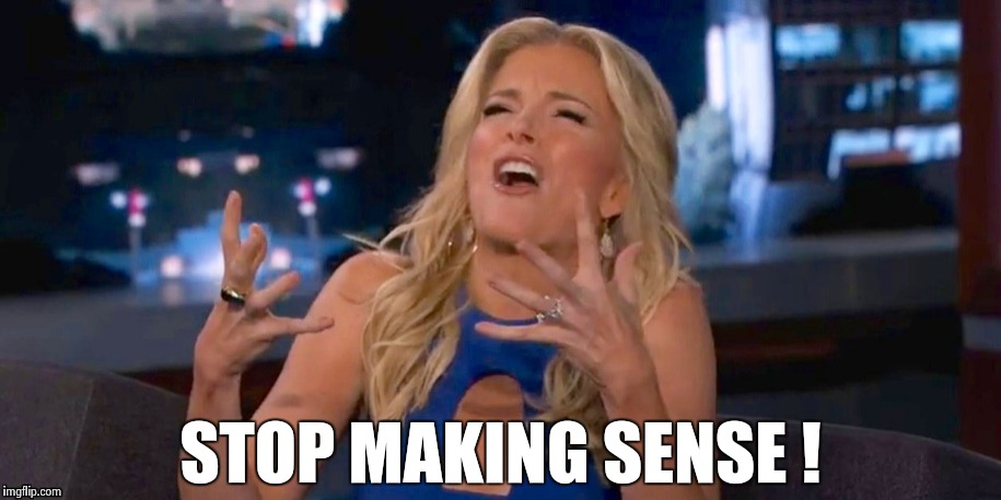 Megan Kelley | STOP MAKING SENSE ! | image tagged in megan kelley | made w/ Imgflip meme maker
