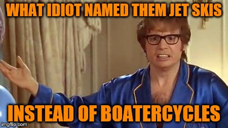 Austin Powers Honestly Meme |  WHAT IDIOT NAMED THEM JET SKIS; INSTEAD OF BOATERCYCLES | image tagged in memes,austin powers honestly | made w/ Imgflip meme maker