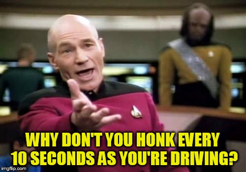 Picard Wtf Meme | WHY DON'T YOU HONK EVERY 10 SECONDS AS YOU'RE DRIVING? | image tagged in memes,picard wtf | made w/ Imgflip meme maker