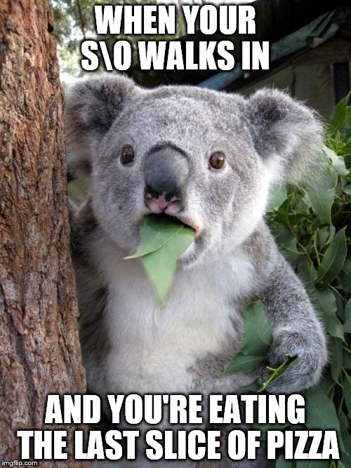 Surprised Koala | WHEN YOUR S\O WALKS IN; AND YOU'RE EATING THE LAST SLICE OF PIZZA | image tagged in memes,surprised koala | made w/ Imgflip meme maker
