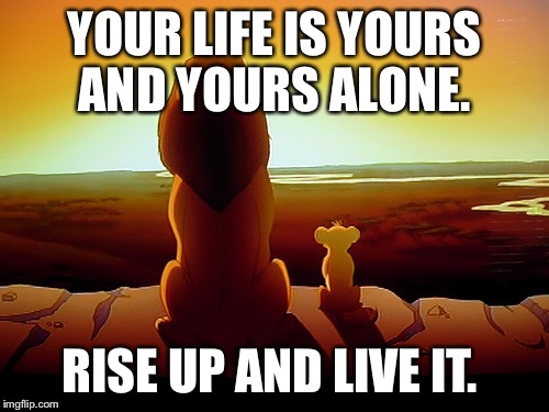 Lion King | YOUR LIFE IS YOURS AND YOURS ALONE. RISE UP AND LIVE IT. | image tagged in memes,lion king | made w/ Imgflip meme maker