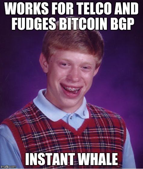 Bad Luck Brian Meme | WORKS FOR TELCO AND FUDGES BITCOIN BGP; INSTANT WHALE | image tagged in memes,bad luck brian | made w/ Imgflip meme maker