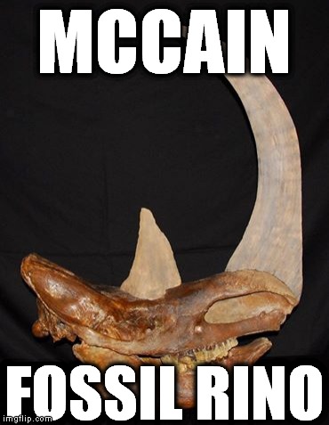 MCCAIN; FOSSIL RINO | image tagged in fossil rino,john mccain,establishment republicans | made w/ Imgflip meme maker