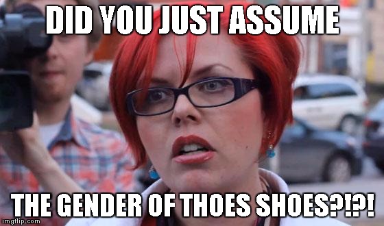 Angry Feminist | DID YOU JUST ASSUME; THE GENDER OF THOES SHOES?!?! | image tagged in angry feminist | made w/ Imgflip meme maker