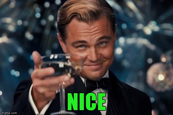 Leonardo Dicaprio Cheers Meme | NICE | image tagged in memes,leonardo dicaprio cheers | made w/ Imgflip meme maker