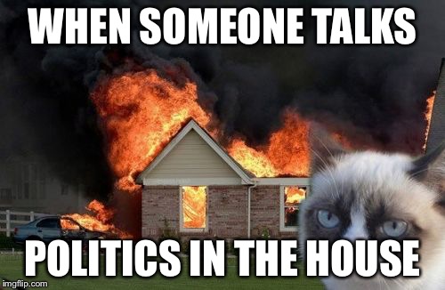 Burn Kitty Meme | WHEN SOMEONE TALKS; POLITICS IN THE HOUSE | image tagged in memes,burn kitty,grumpy cat | made w/ Imgflip meme maker