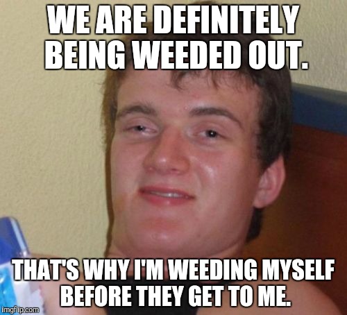 10 Guy Meme | WE ARE DEFINITELY BEING WEEDED OUT. THAT'S WHY I'M WEEDING MYSELF BEFORE THEY GET TO ME. | image tagged in memes,10 guy | made w/ Imgflip meme maker