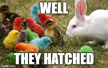 Happy Easter | WELL; THEY HATCHED | image tagged in easter,funny,eggs | made w/ Imgflip meme maker