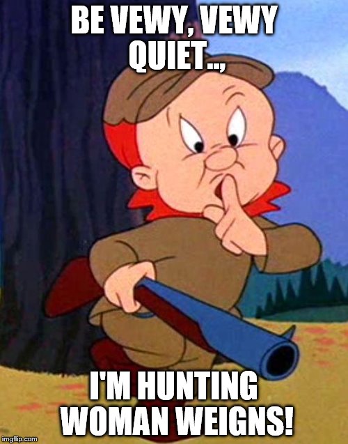 Elmer Fudd | BE VEWY, VEWY QUIET.., I'M HUNTING WOMAN WEIGNS! | image tagged in elmer fudd | made w/ Imgflip meme maker