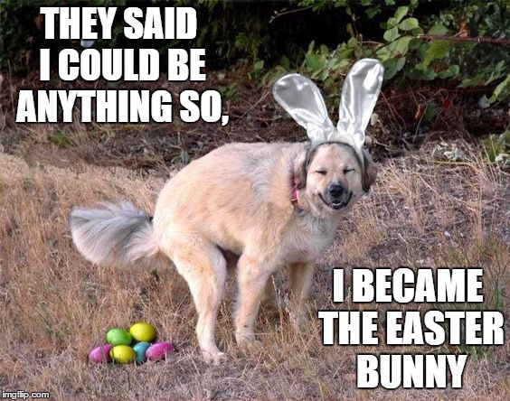 Just supporting dog week. Have a Happy Easter | THEY SAID I COULD BE ANYTHING SO, I BECAME THE EASTER BUNNY | image tagged in happy easter | made w/ Imgflip meme maker