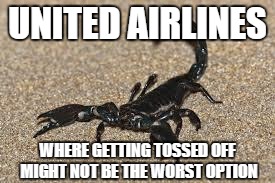 Scorpions | UNITED AIRLINES; WHERE GETTING TOSSED OFF MIGHT NOT BE THE WORST OPTION | image tagged in scorpions | made w/ Imgflip meme maker