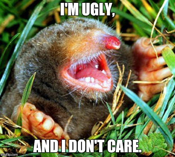 I'M UGLY, AND I DON'T CARE. | made w/ Imgflip meme maker