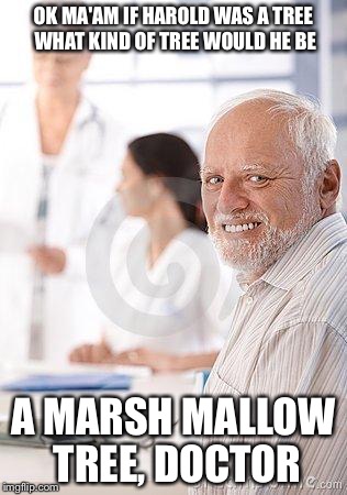 OK MA'AM IF HAROLD WAS A TREE WHAT KIND OF TREE WOULD HE BE A MARSH MALLOW TREE, DOCTOR | made w/ Imgflip meme maker