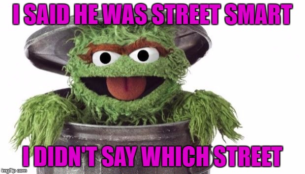 Oscar trashcan Sesame street | I SAID HE WAS STREET SMART; I DIDN'T SAY WHICH STREET | image tagged in oscar trashcan sesame street | made w/ Imgflip meme maker