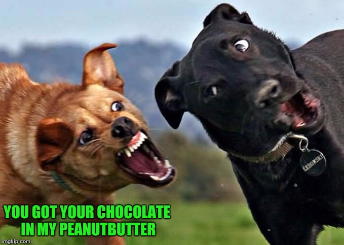 YOU GOT YOUR CHOCOLATE IN MY PEANUTBUTTER | made w/ Imgflip meme maker