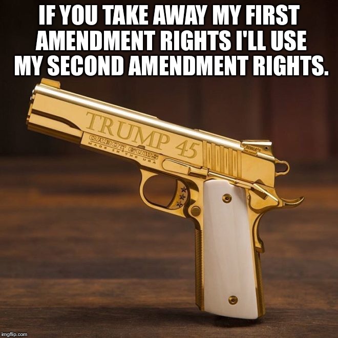 IF YOU TAKE AWAY MY FIRST AMENDMENT RIGHTS I'LL USE MY SECOND AMENDMENT RIGHTS. | image tagged in 2a | made w/ Imgflip meme maker