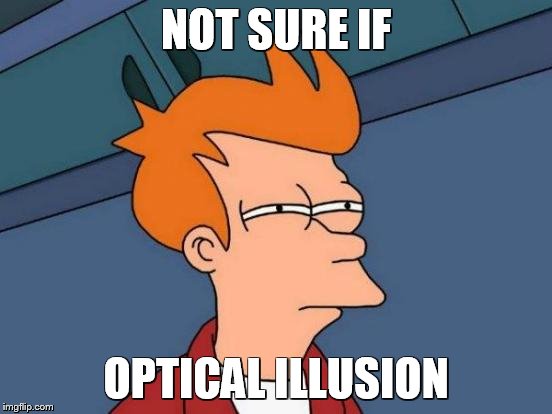 Futurama Fry Meme | NOT SURE IF OPTICAL ILLUSION | image tagged in memes,futurama fry | made w/ Imgflip meme maker