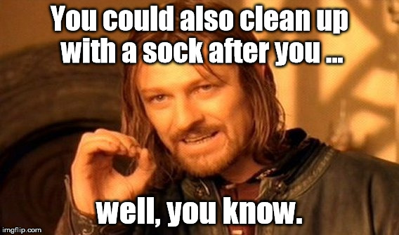 It's never too early to learn effective waste management. | You could also clean up with a sock after you ... well, you know. | image tagged in memes,one does not simply | made w/ Imgflip meme maker